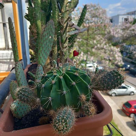 Apartmán Atelje Podgorica Exteriér fotografie