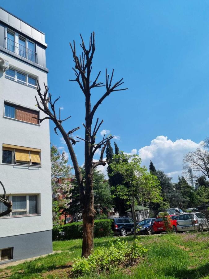 Apartmán Atelje Podgorica Exteriér fotografie
