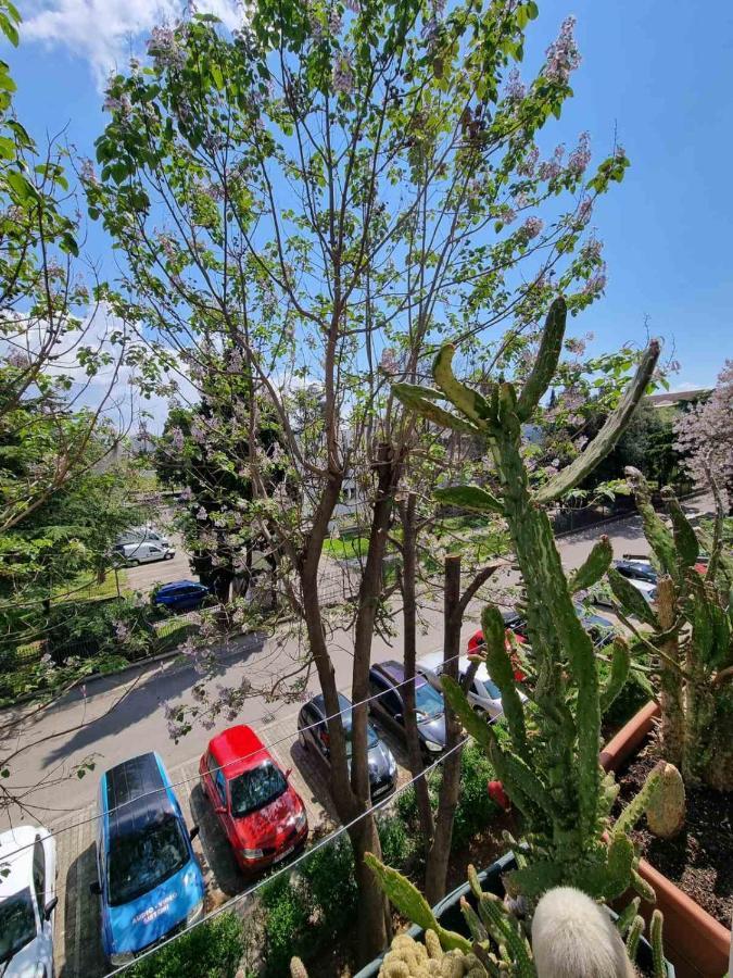 Apartmán Atelje Podgorica Exteriér fotografie